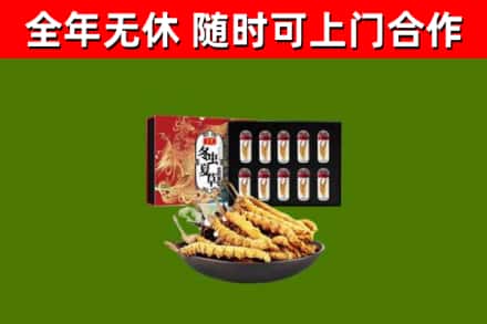 隆回回收冬虫夏草价格